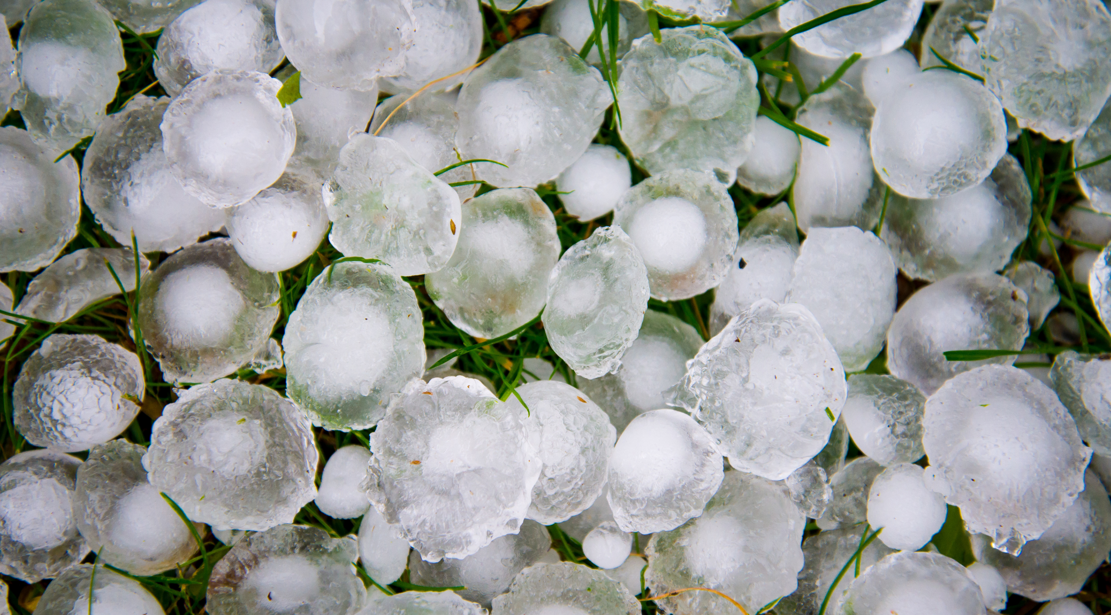 Hail Meaning in Tamil